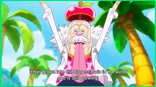 VEGAPUNK Explains his Devil Fruit Power to Luffy. | BRAIN BRAIN NO MI || [ENGLISH SUB].#onepiece
