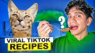 Testing VIRAL TikTok Cat Recipes With Kiki