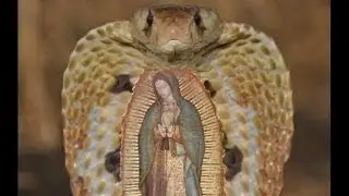 Alert! ALERT!! ALERT! 100% BIBLICAL PROOF!! SERPENT RACE BLINDED The ANGELIC (SHEEP) Of JESUS CHRIST