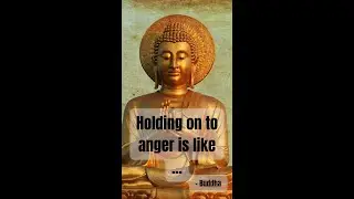 Buddha Quote: Holding on to anger is like... #buddha #buddhaquotes