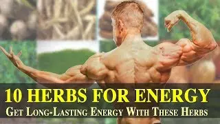 Top 10 Herbs For Energy: Boost Your Energy Levels With These Herbs #getfit