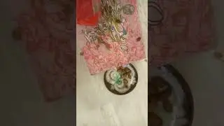Acorns are falling on the picture! ASMR sounds!
