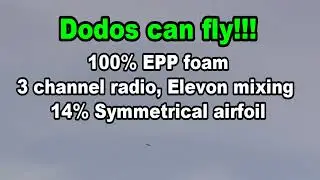 Dodos can fly M #3
