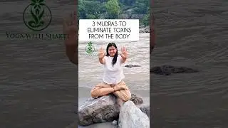 Detoxification Mudras | 3 Mudras to eliminate toxins from the body #shorts #yogashakti