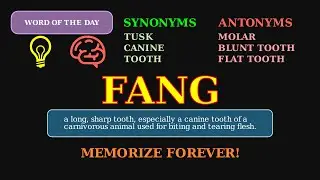 Fang: Word of the Day 🦷⚡ | Sharp & Dangerous!