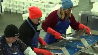 Dutch fishers fear stormy seas ahead after Brexit