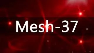 [베이직테크] BASICTECH - MESH 37