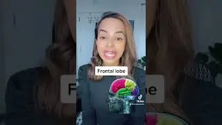 Frontal Lobe Epilepsy