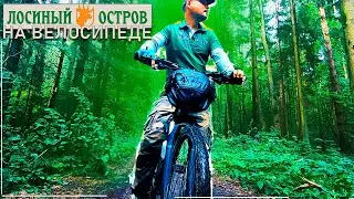 Лосиный остров на велосипеде. 2024 #велосипед #поход #cinematic #relaxing #bike
