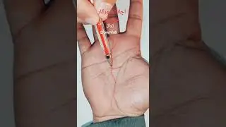 Palmistry001 174