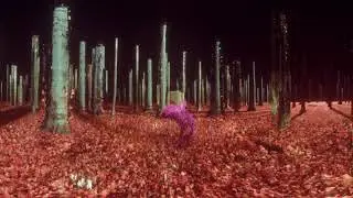 Mchy i porosty - Cholewa (VR 360 music video)
