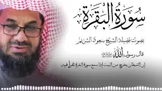 سورة البقرة (كاملة) للشيخ سعود الشريم لحفظ وتحصين المنزل وجلب البركة تلاوة رائعة Sourah Baqara