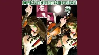 Doppelg&auml;nger Schubert's Schwanengesang