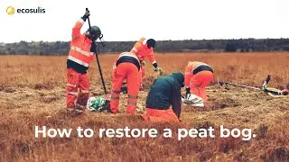 How to Rewild a Peatland - The Lost Peatlands Project