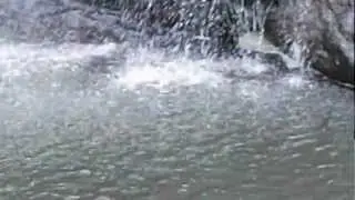 chelora falls