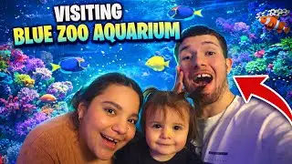 Taking Adalee to Blue Zoo Aquarium!  #aquarium #fish #toddlers #fyp 