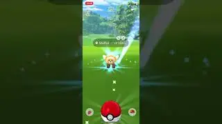 Shiny Pokemon,Stufful,Pok&eacute;mon GO - April 25, 2022