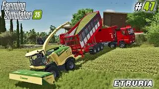 From Empty Barns to Full Milk Production in One Day | Farming simulator 25 | Etruria Farm | ep #47