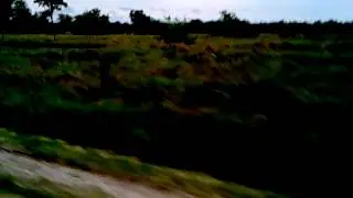 Colonia Las Rosas