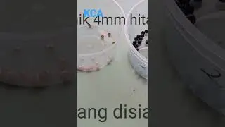 Membuat Kerajinan Dari Manik-Manik, Konektor Masker #short