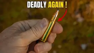 5 Forgotten Ammo You Can Buy In 2026