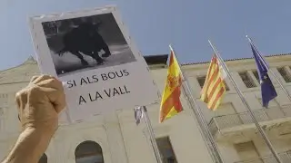 Polémica en Tavernes por la no autorización de celebrar festejos taurinos