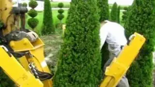 Home Nursery's Field Digging_video_080810.wmv