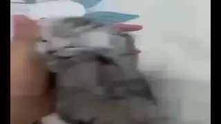 evil and insane In Content Aware Scale Reversed