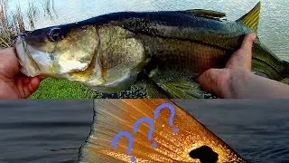 EVERY FISHERMAN'S DREAM POND! Catching Snook Bass......and Redfish?!