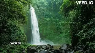 The Lost Words Rediscovering Natures Magic