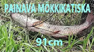 KATISKA KYLJELL&Auml;&Auml;N