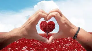 ღ❥ Liebe lohnt sich ♡ Maite Kelly feat. Sebastian Wurth ❥ღ