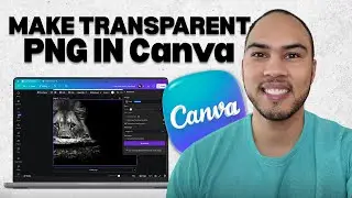 How to Turn a Photo Into a Transparent PNG in Canva (Step-by-Step)