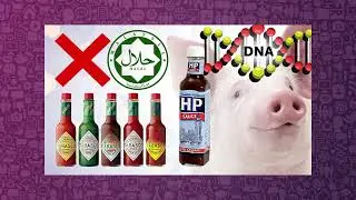Whatsapp Hoaxes PSA Video