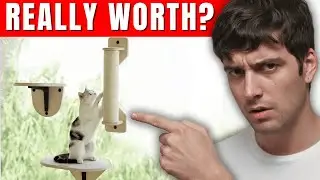 Обзор полок для кошек MewooFun на подоконник &ndash; стоят ли они своих денег?