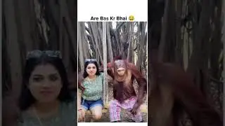 #Indian Short Video Monkey Grabs Foreigner's Boobs Breast on Video Noughty Monkey Moments Monkey 720