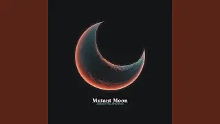 Data Dream