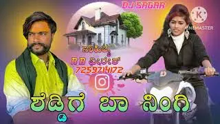 ಶೆಡ್ಡಿಗೆ ಬಾ ನಿಂಗಿ ಸಾಂಗ್