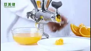 Stainless Steel Hand Juicer Wheat Grass Squeezer Fruit Vegetable Juice Extractor