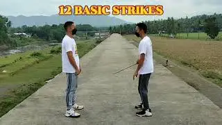 ARNIS 12 BASIC STRIKES (CRIMINOLOGY)