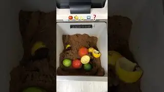 Can 🍅+🍋+🍈 Be Compost? (Tomato, Lemon, Lime)