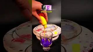 Flowing Colors Meet Zootopia: Watch Our Teddy Bear Become a Colorful Masterpiece!#asmr