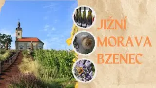 🇨🇿BZENEC A OKOL&Iacute; FILM🇨🇿