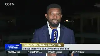 Tanzania earns $140 million from maize exports
