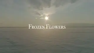 Frozen Flowers 2023 Short ver.