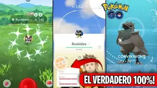ROOKIDEE'S BRUTAL COMMUNITY DAY: THE NEW BEST PVP POK&Eacute;MON! #pokemongo
