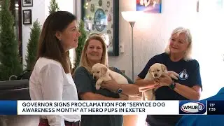 Governor signs proclamation for Service Dog Awareness Month at Hero Pups in Exeter