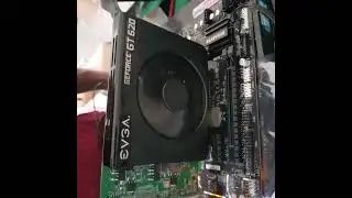 EVGA GeForce GT620 1GB GDDR3 64 Bit,H***n