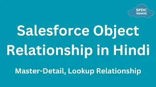 Salesforce Object Relationship In Hindi | SfdcPathshala