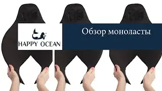 Обзор моноласты.